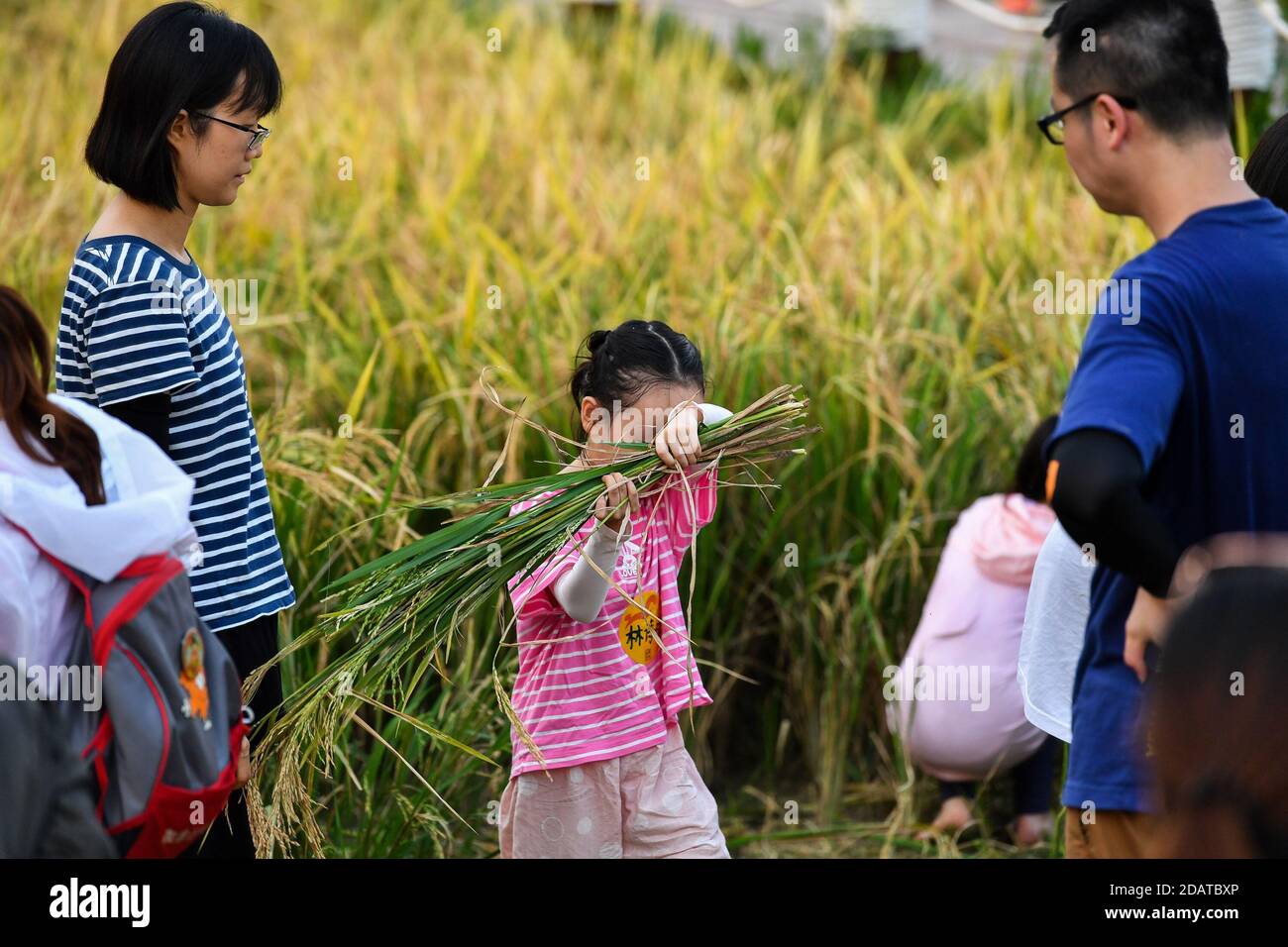 Guangzhou, province chinoise de Guangdong. 25 juillet 2020. Les enfants récoltent du riz avec leurs parents dans la zone humide de Haizhu à Guangzhou, capitale de la province de Guangdong, au sud de la Chine, le 25 juillet 2020. Ces dernières années, le bureau d'administration de Haizhu Wetland Park a lancé une série de classes familiales dans ses rizières, offrant aux résidents urbains une opportunité d'expérience agricole. Credit: Liu Dawei/Xinhua/Alay Live News Banque D'Images