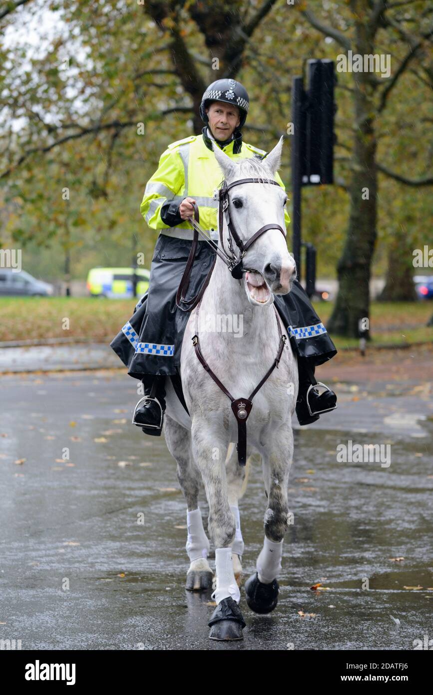 Officier de la branche montée de la police métropolitaine sous la pluie, Buckingham Gate, Londres, Royaume-Uni Banque D'Images