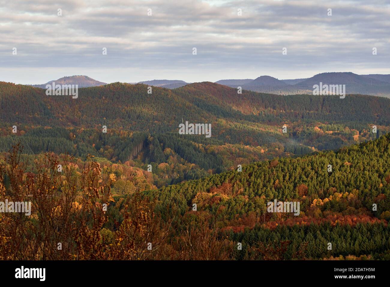 Paysage d'automne dans la forêt du Palatinat, Allemagne Banque D'Images