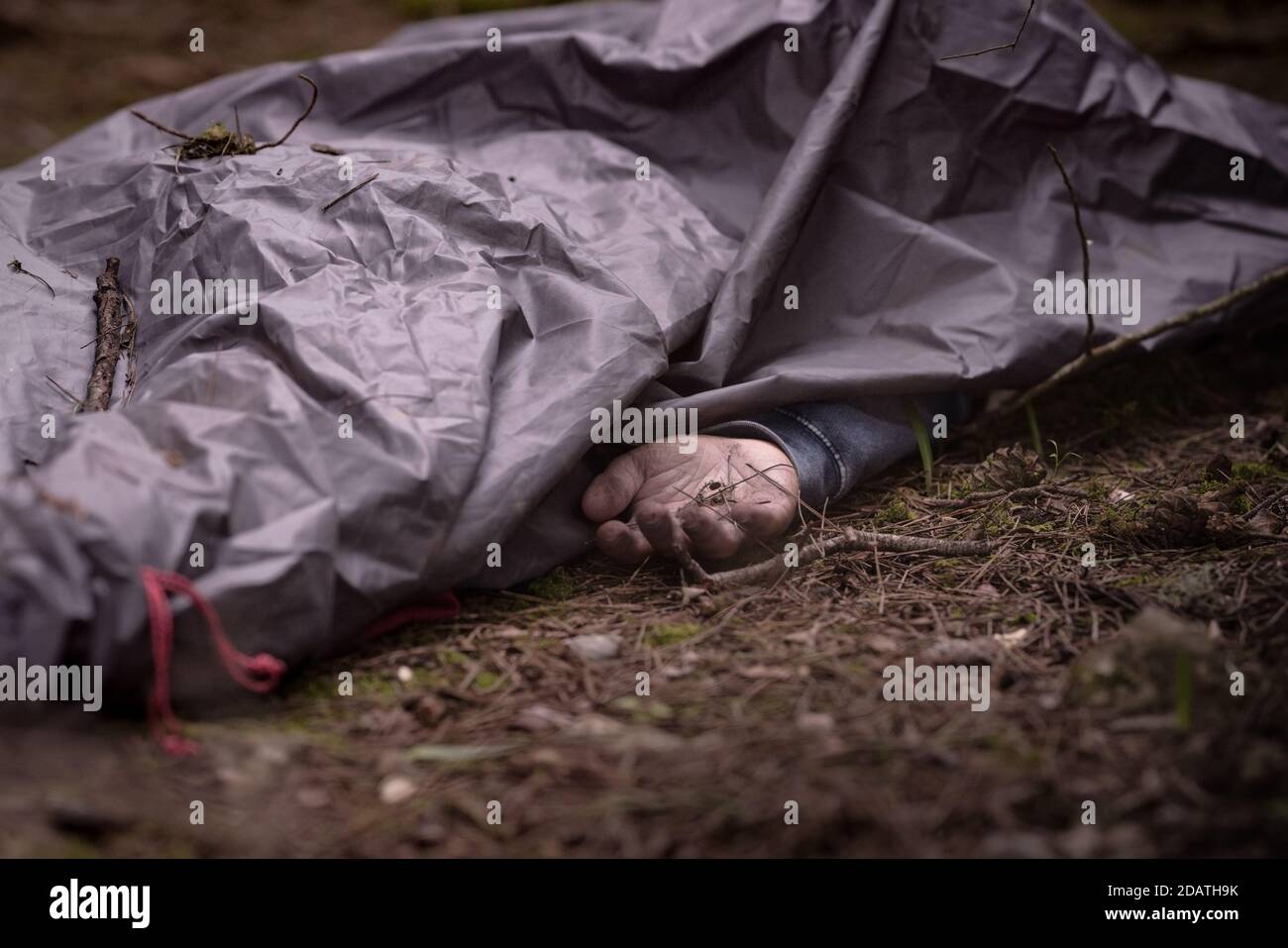 Corps d'homme mort dans les bois. Corps d'homme caucasien recouvert de feuille . Main homme mort. Meurtre dans les bois Banque D'Images