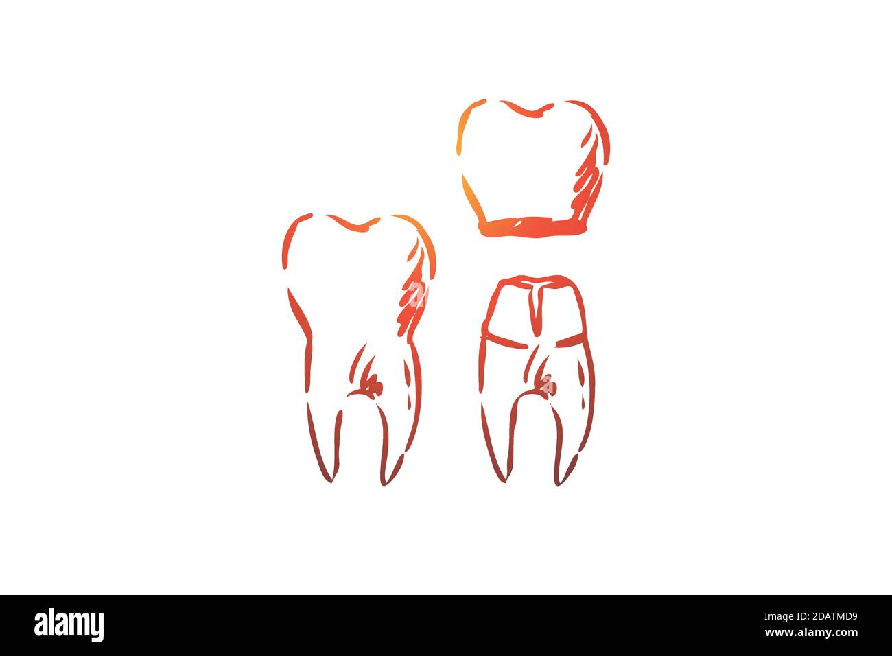 Crown, dentaire, racine, dent, concept de santé. Vecteur isolé tracé à la main. Illustration de Vecteur