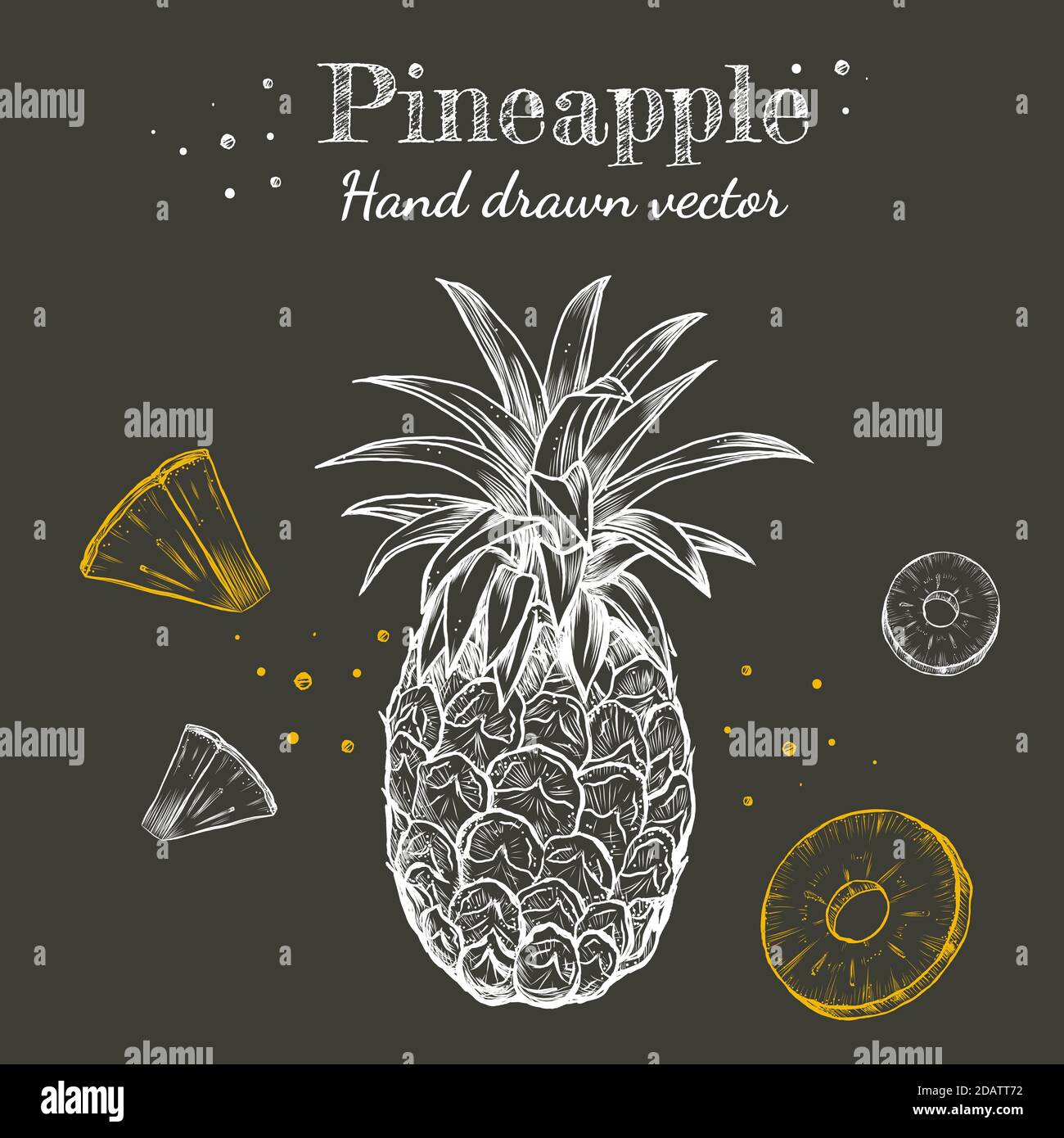 Dessin vectoriel ligne art ananas fruits craie dessiné à la main sur tableau noir arrière-plan jeu d'illustrations. Illustration de Vecteur