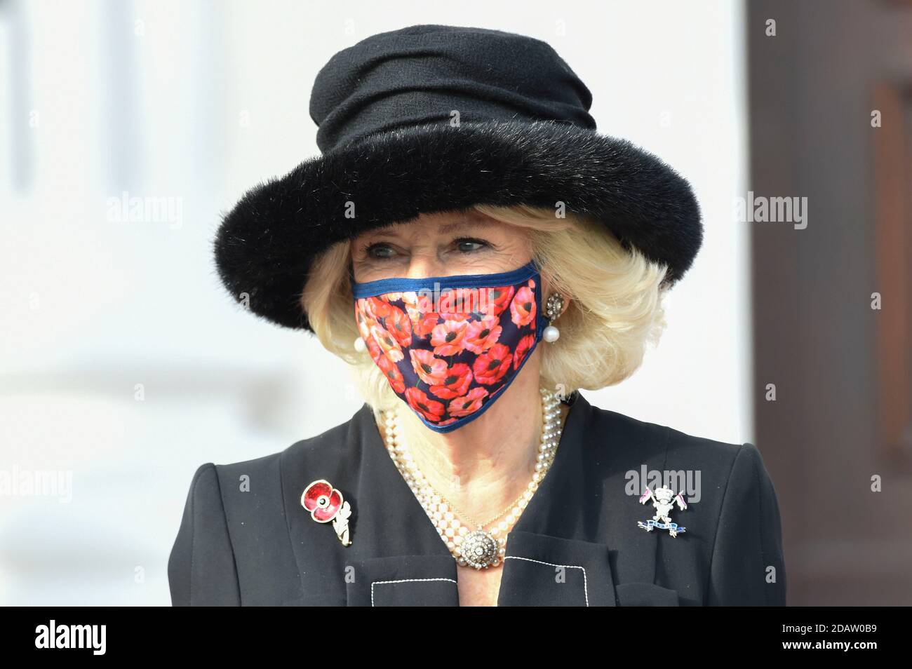 Berlin, Allemagne. 15 novembre 2020. Camilla, duchesse de Cornouailles, à la réception du Président fédéral de l'Allemagne au Palais Bellevue le 15 novembre 2020 à Berlin, Allemagne crédit: Geisler-Fotopress GmbH/Alay Live News Banque D'Images