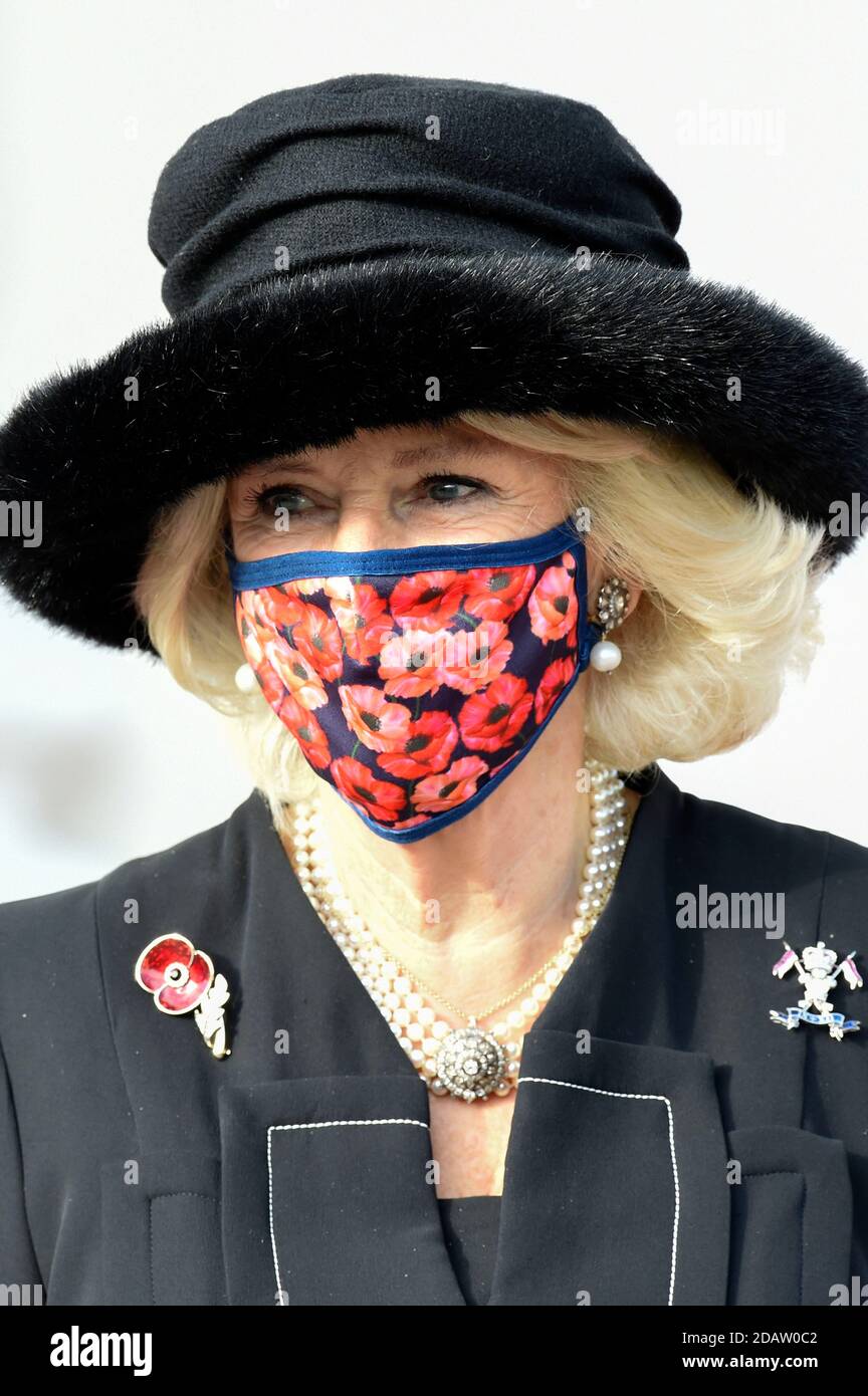 Berlin, Allemagne. 15 novembre 2020. Camilla, duchesse de Cornouailles, à la réception du Président fédéral de l'Allemagne au Palais Bellevue le 15 novembre 2020 à Berlin, Allemagne crédit: Geisler-Fotopress GmbH/Alay Live News Banque D'Images