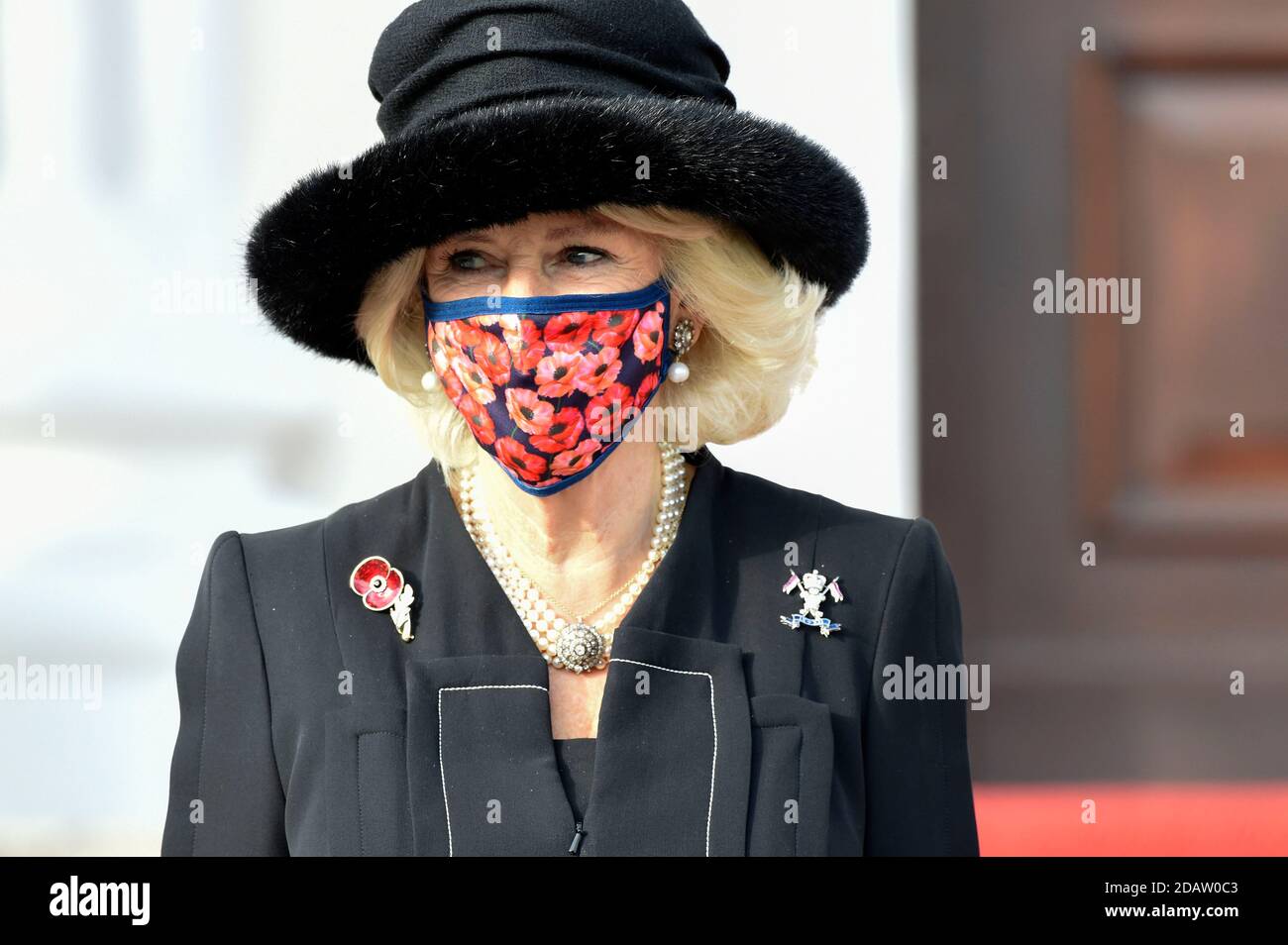 Berlin, Allemagne. 15 novembre 2020. Camilla, duchesse de Cornouailles, à la réception du Président fédéral de l'Allemagne au Palais Bellevue le 15 novembre 2020 à Berlin, Allemagne crédit: Geisler-Fotopress GmbH/Alay Live News Banque D'Images
