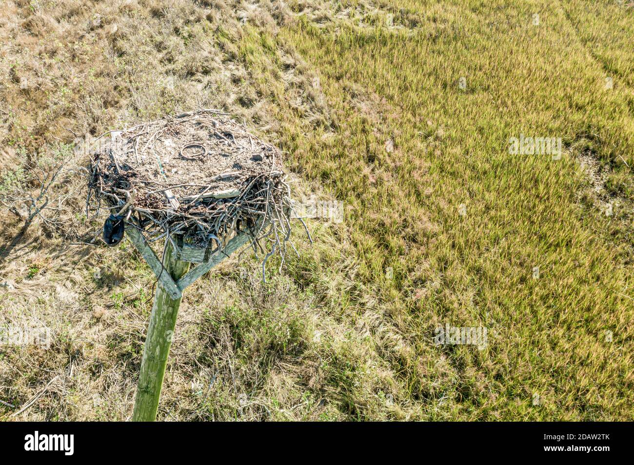 Vue aérienne d'un nid d'Osprey à Sag Harbor, NY Banque D'Images