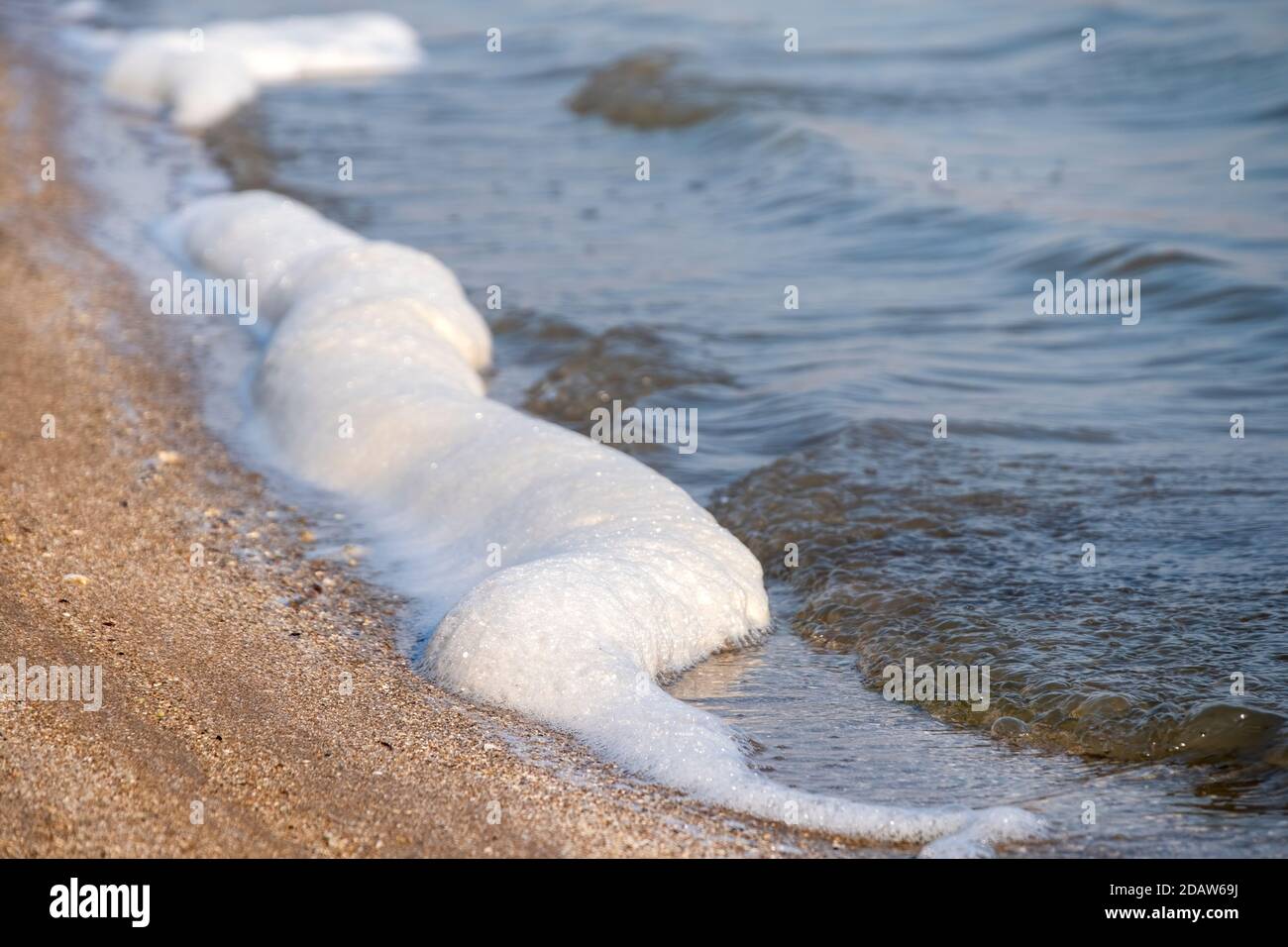 Mousse de mer, lagune Yumurtalik, Adana, Turquie Banque D'Images