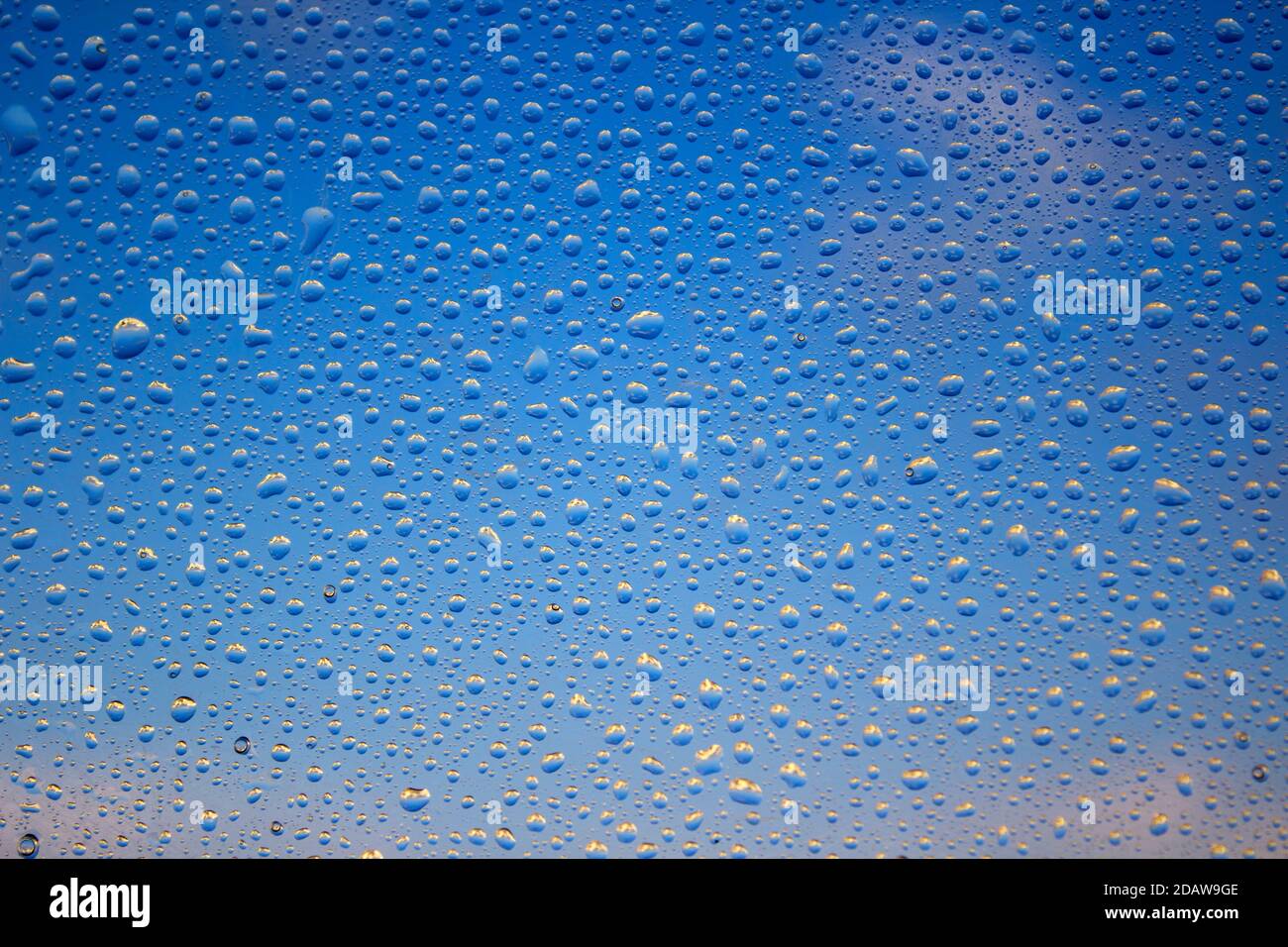 La pluie tombe sur une fenêtre. Motif abstrait naturel. Fond bleu ciel. Mise au point sélective. Banque D'Images