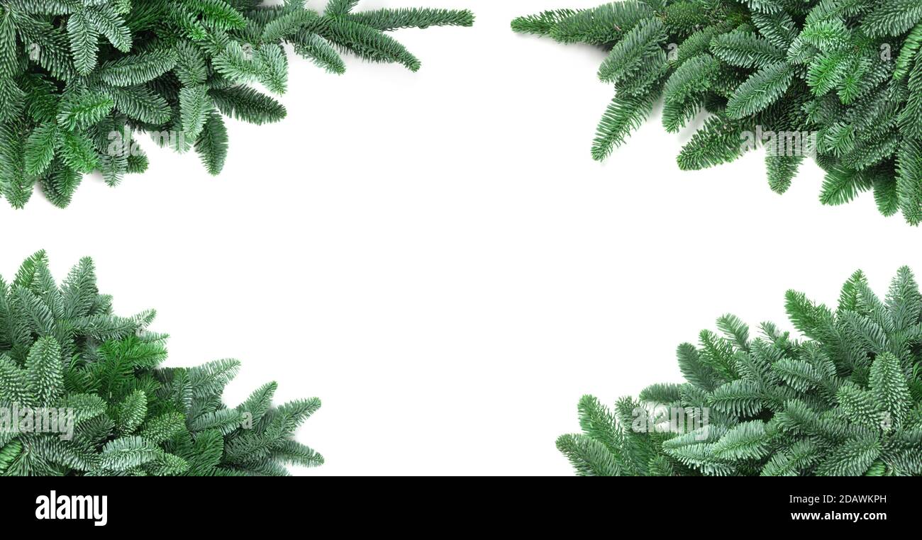 Cadre de Noël traditionnel vert sapin noble cadre isolé espace de copie de fond blanc pour le texte Banque D'Images