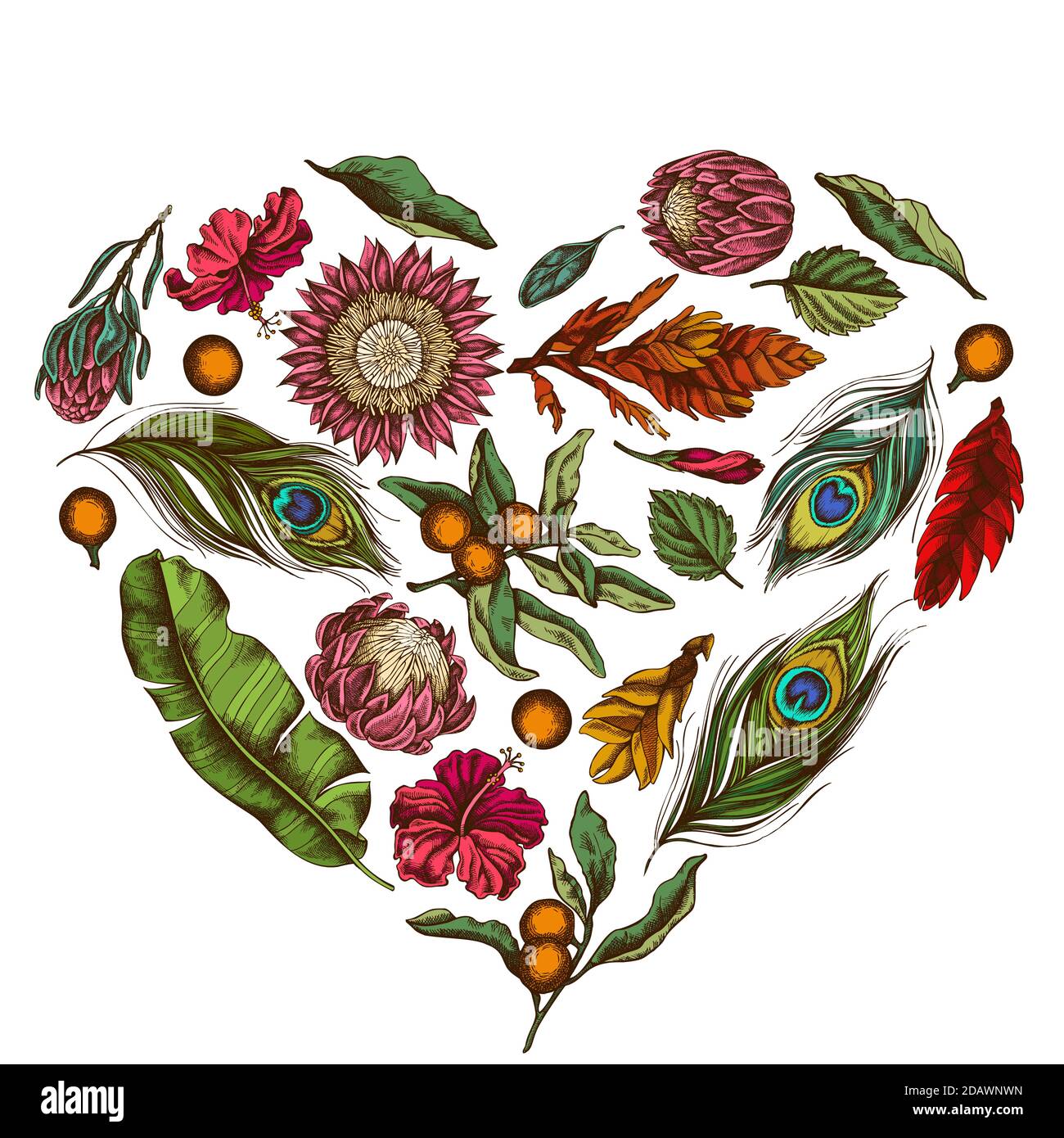 Motif coeur fleuri avec feuilles de banane de couleur, hibiscus, solanum, broméliade, plumes de paon, protea Illustration de Vecteur