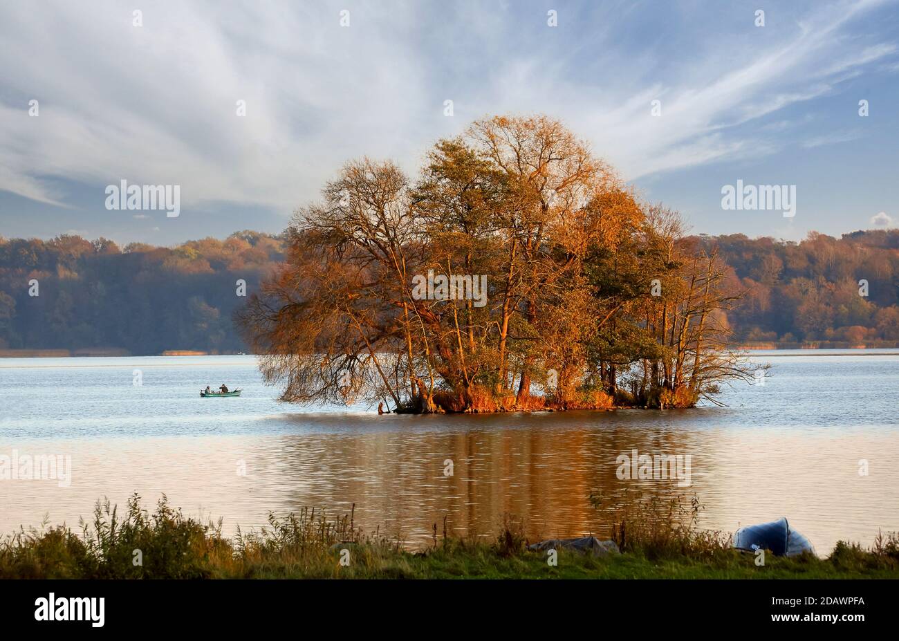 Une petite île dans le Kellersee en automne. Les oiseaux de toutes sortes les adorent faire une pause ou dormir. Banque D'Images
