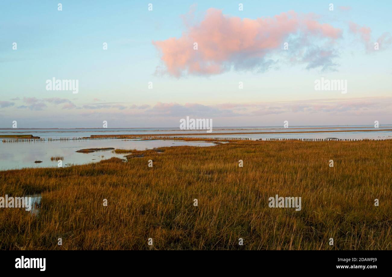 La mer des Wadden (parc national de la mer des Wadden en Basse-Saxe) a également une attraction magique en hiver. Banque D'Images