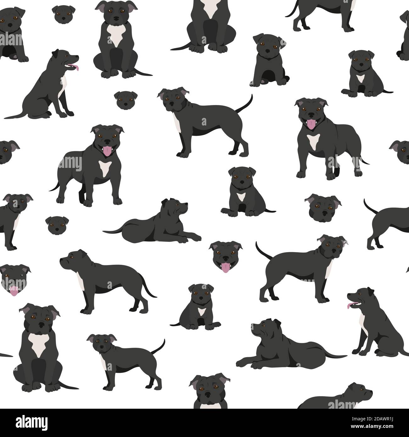 Staffordshire Bull Terrier sans couture. Jeu de caractères Staffy. Illustration vectorielle Illustration de Vecteur