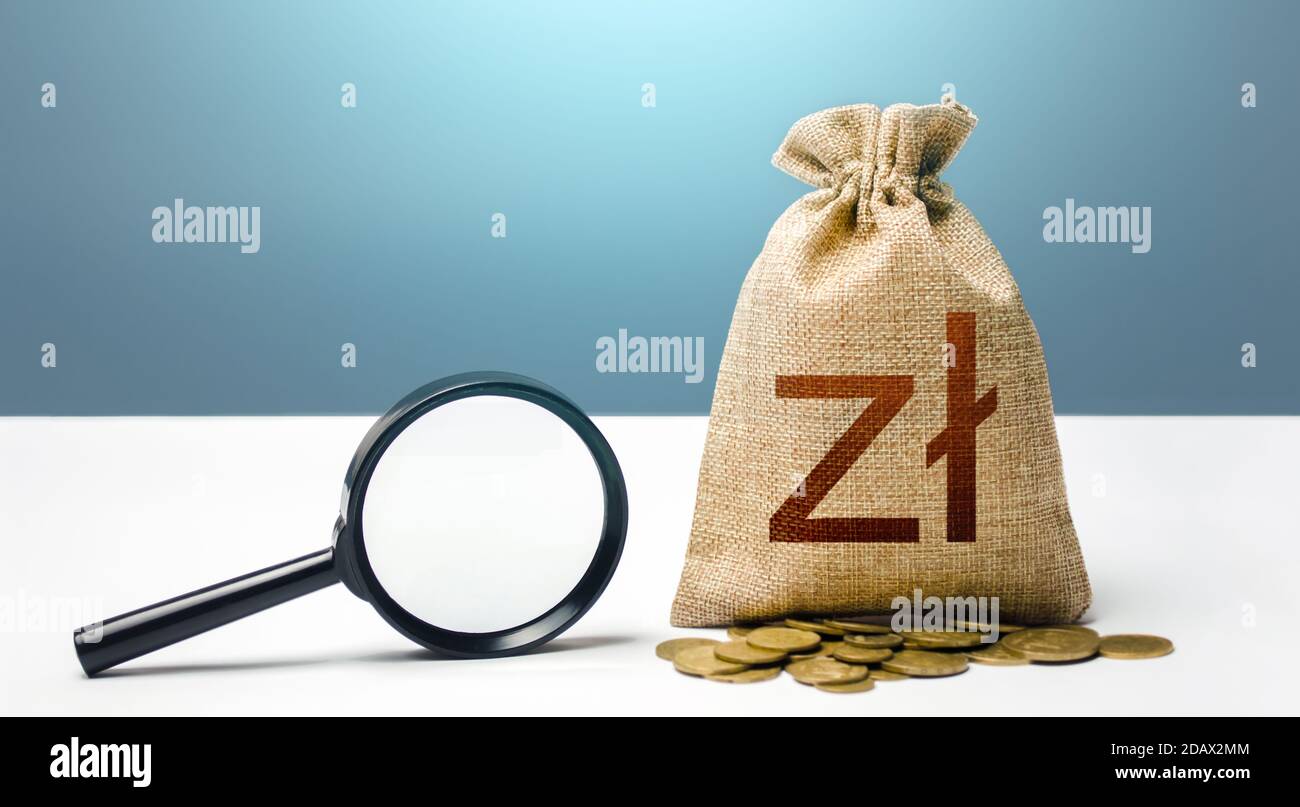 Sac d'argent zloty polonais et loupe. Audit financier et surveillance des opérations et des capitaux suspects. Attirer le financement des investissements. Banque D'Images