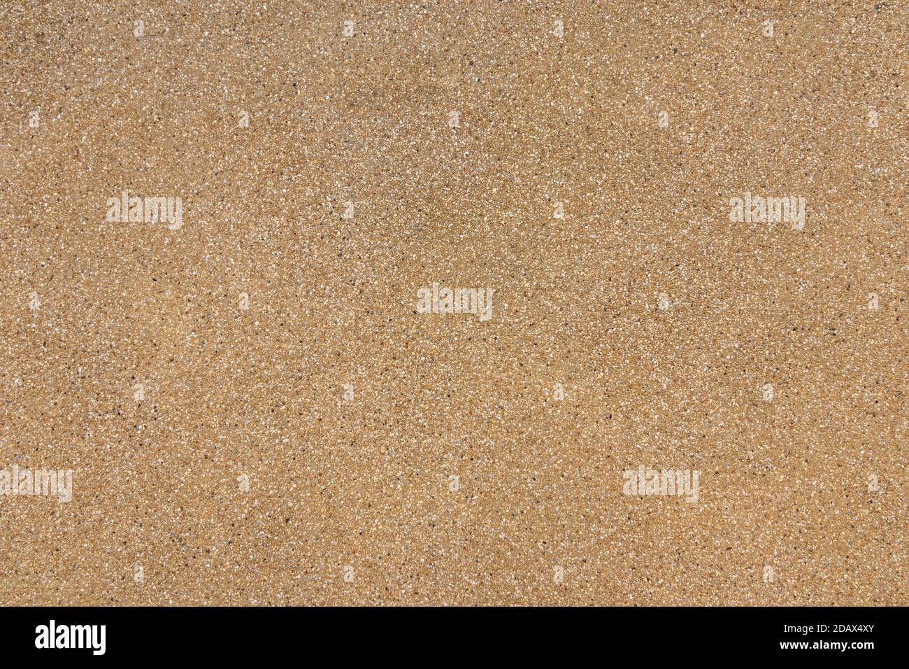 Mur brut blanc en béton brun pour l'arrière-plan. Magnifique motif de fond de mur d'agrégat marron exposé à surface plastrée. Banque D'Images