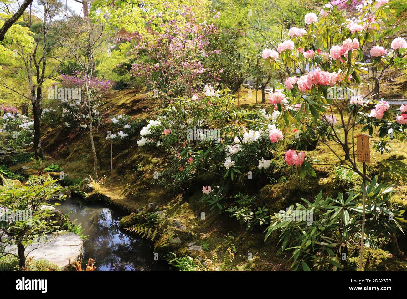 Jardins à Arashiyama à Kyoto, Japon Banque D'Images
