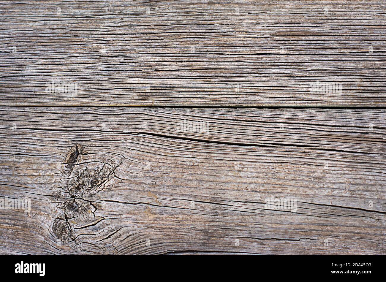 Fond de texture bois, vieux bois naturel Banque D'Images