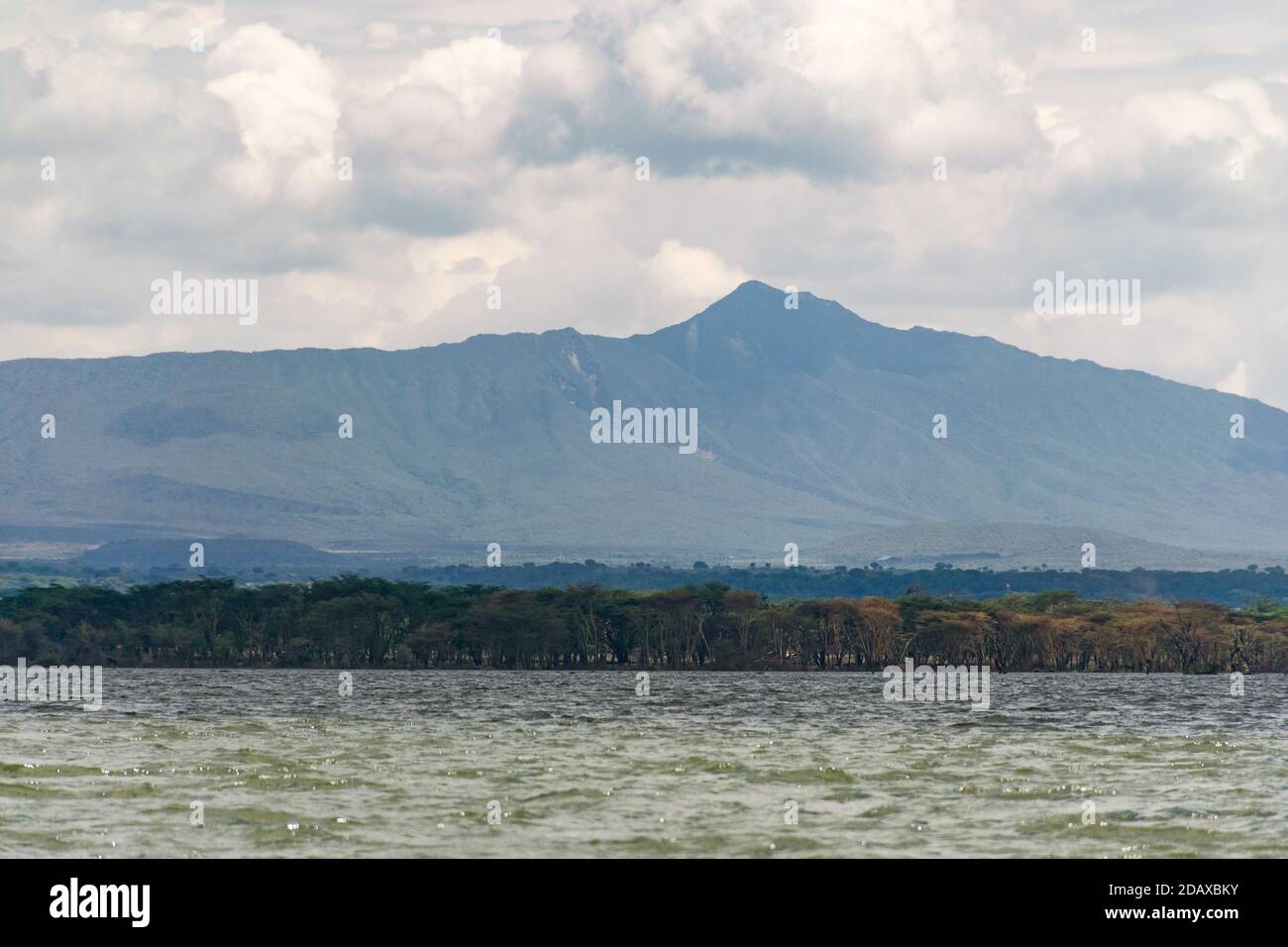 Mont Longonot vue depuis le lac Naivasha avec de l'eau et des Acacia en premier plan, Kenya, Afrique de l'est Banque D'Images