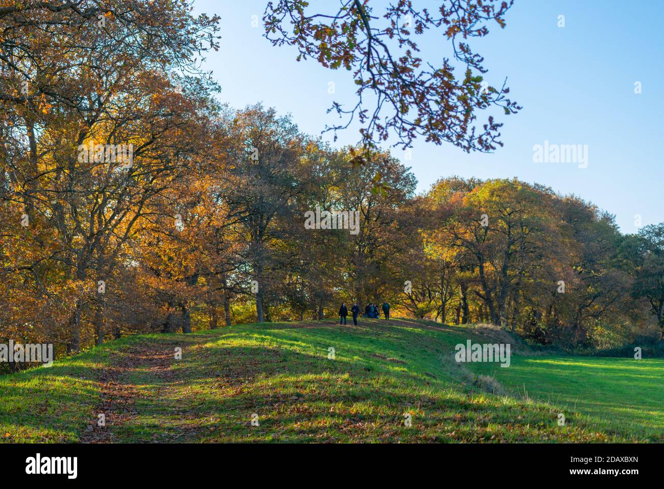 Mur de terre autour de l'historique Haithabu, Busdorf près du Schleswig, Haddebyer Noor, région de Schlei, Schleswig-Holstein, Allemagne du Nord, Europe Banque D'Images