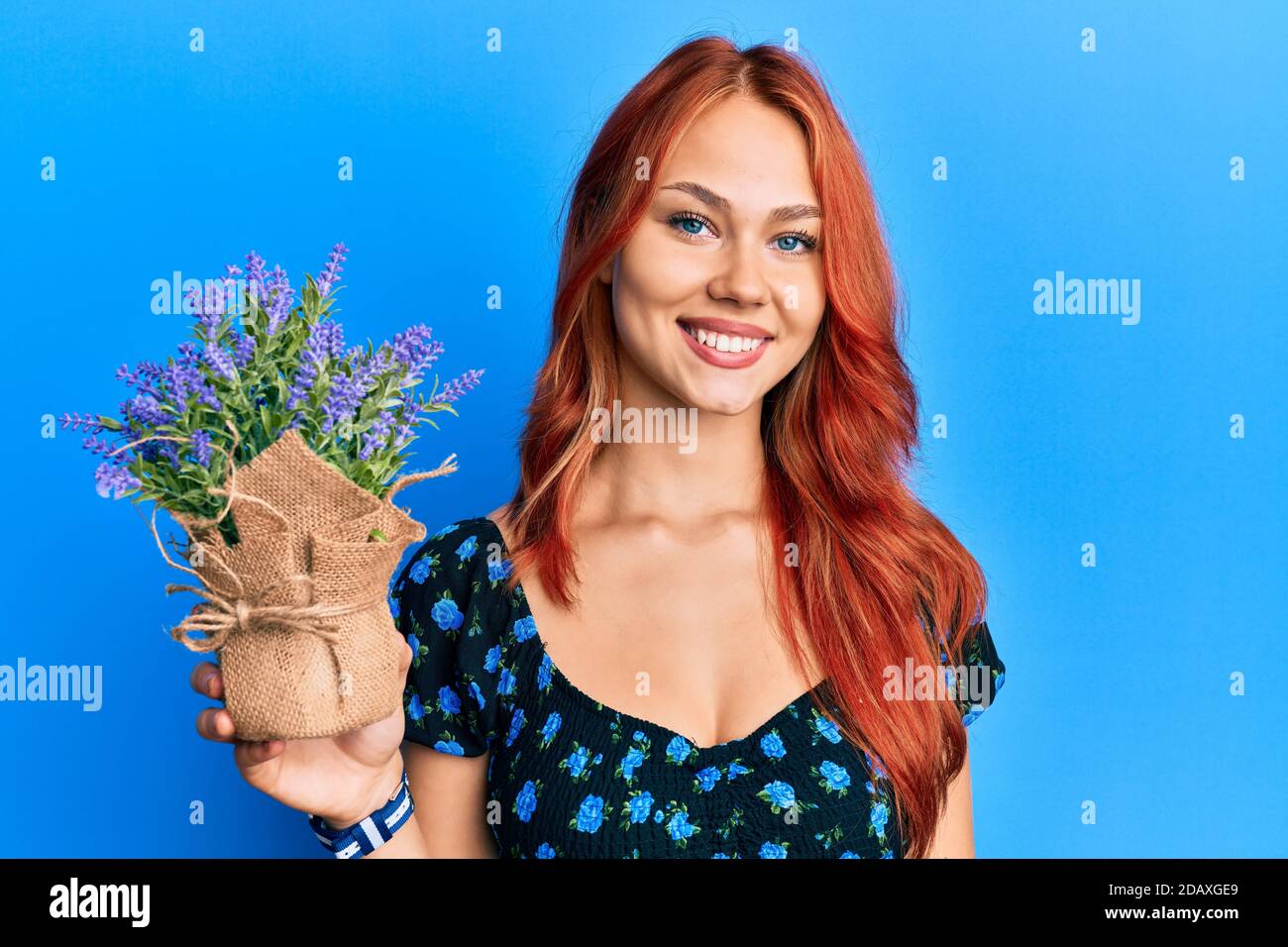 Jeune belle femme à tête rouge tenant pot de lavande regardant positif et se tenir debout et sourire avec un sourire confiant montrant les dents Banque D'Images