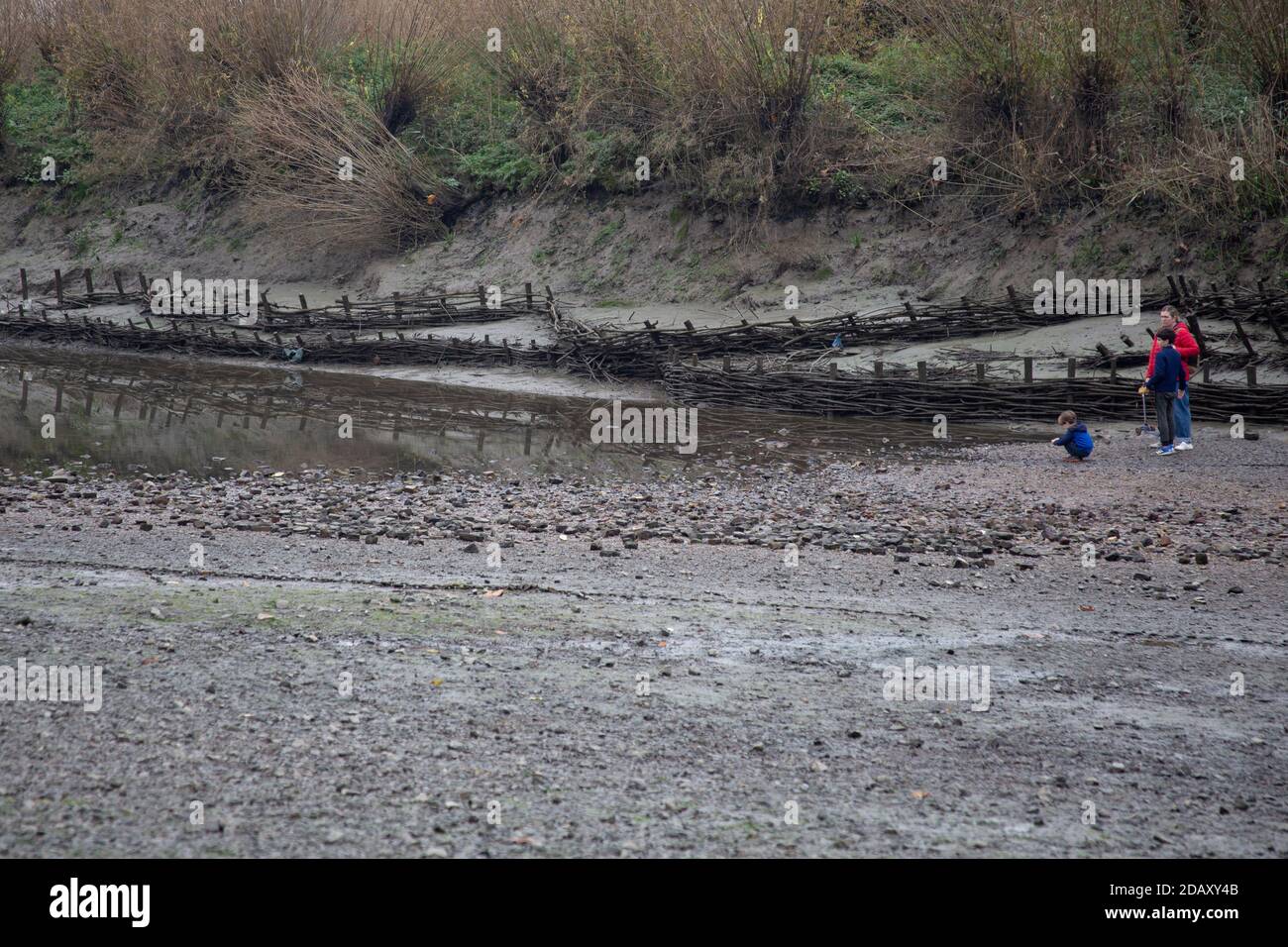 Très basse marée à Chiswick Mall, permettant aux gens de marcher sur la rive et plus à Chiswick Eyot, West London, Royaume-Uni Banque D'Images