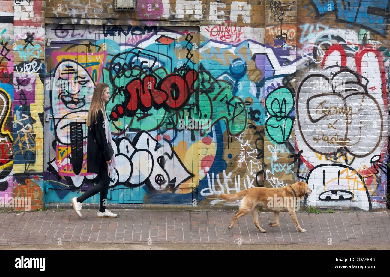 Woman walking dog Banque D'Images