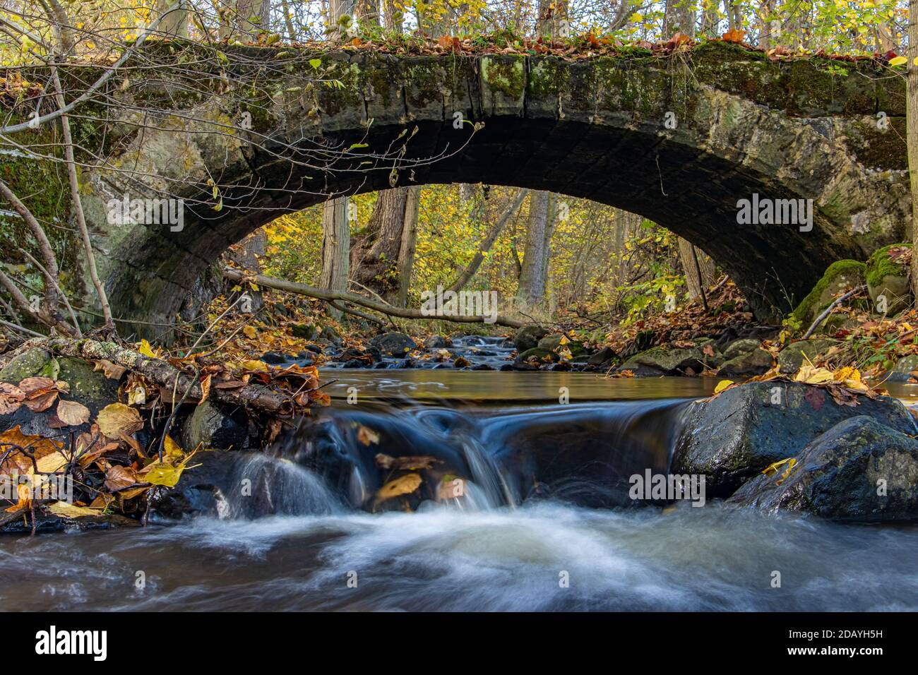 Une cascade d'eau dans le ruisseau qui coule sous un ancien pont en pierre dans la forêt d'automne. Banque D'Images