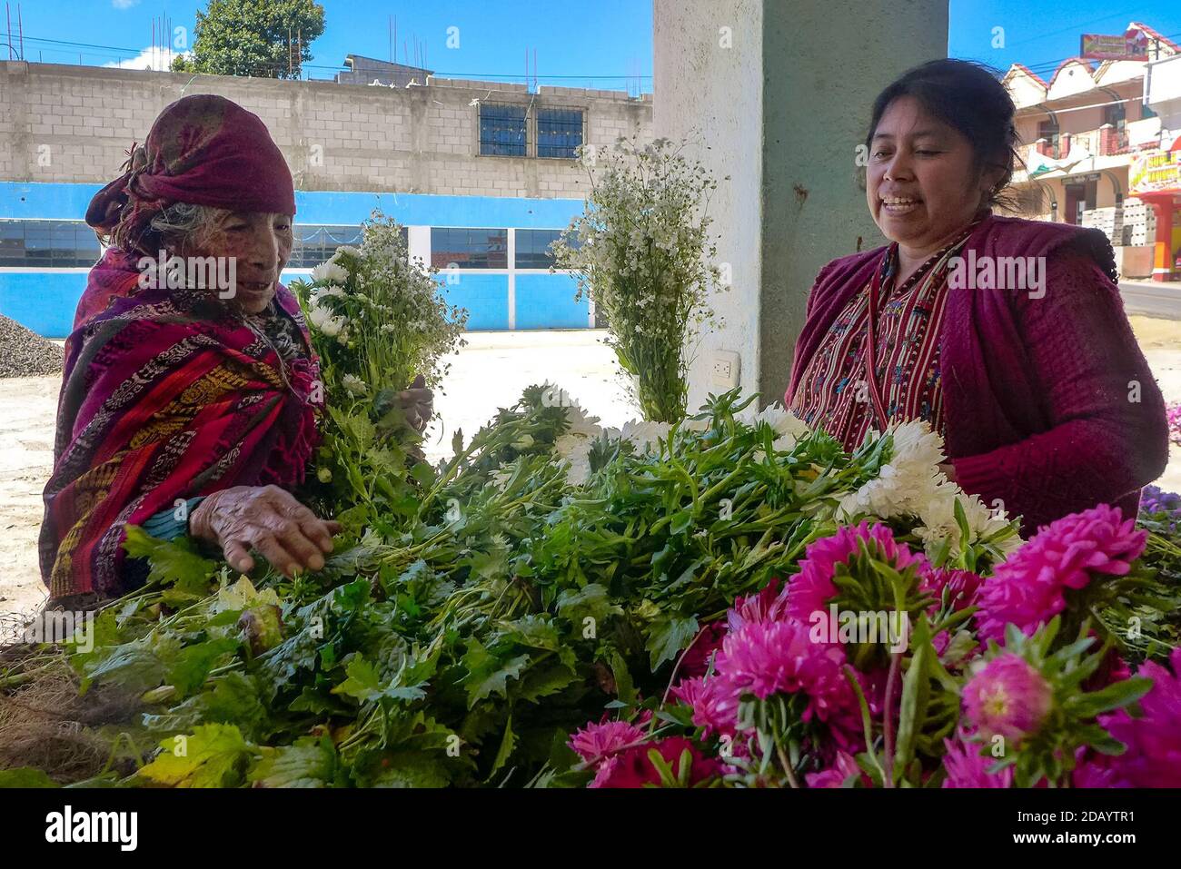 Santa Vásquez (à gauche) et Paulina Chiyal achètent des fleurs sur le marché du village de Vásquez, à Totonicapán, au Guatemala (lien CQ). Vásquez est arrivé tôt sur le marché pour cueillir des fleurs pour décorer sa maison et le mausolée du cimetière local. (Brenda Leticia Saloj Chiyal, GPJ Guatemala) Banque D'Images