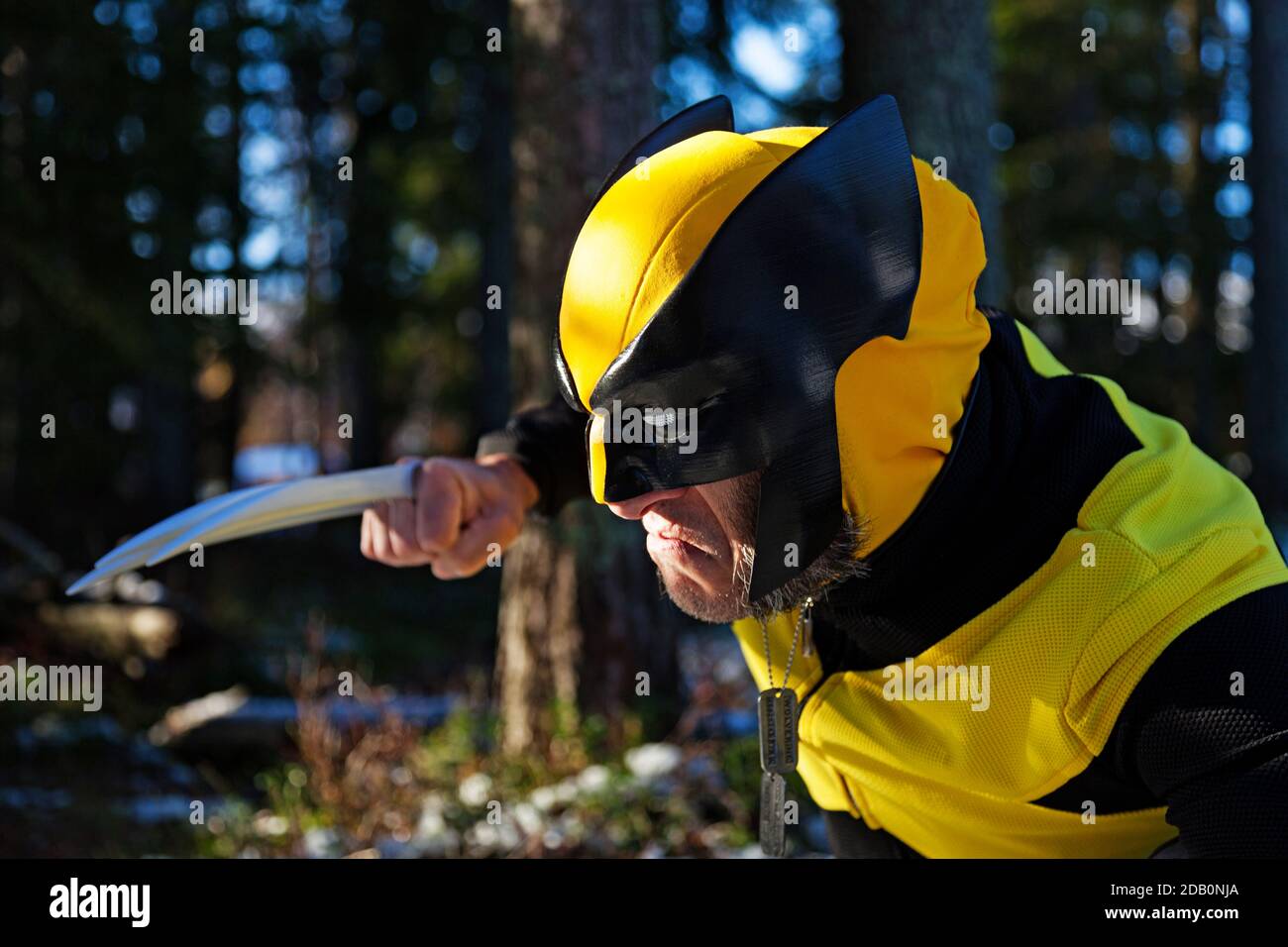 Umea, Norrland Suède - 23 octobre 2020 : personnage habillé comme le loup dans la forêt Banque D'Images