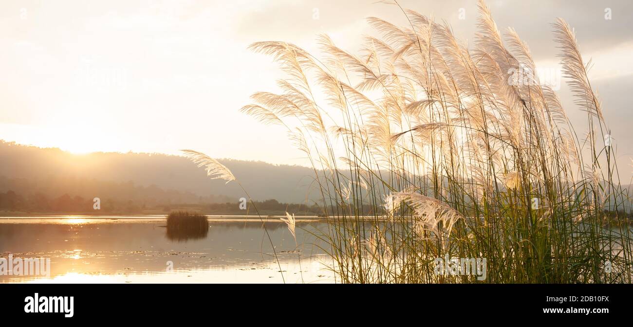 Un lac paisible au coucher du soleil avec des fleurs de roseaux balançant dans le vent, le soleil lumineux se coucher sur une chaîne de montagnes dans les fonds. Banque D'Images