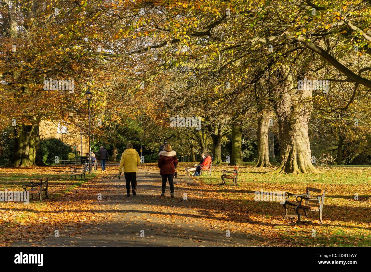 Abington Park, Northampton, Royaume-Uni ; personnes bénéficiant d'un après-midi de soleil d'automne pendant le second confinement de Covid 19 en Angleterre. Banque D'Images