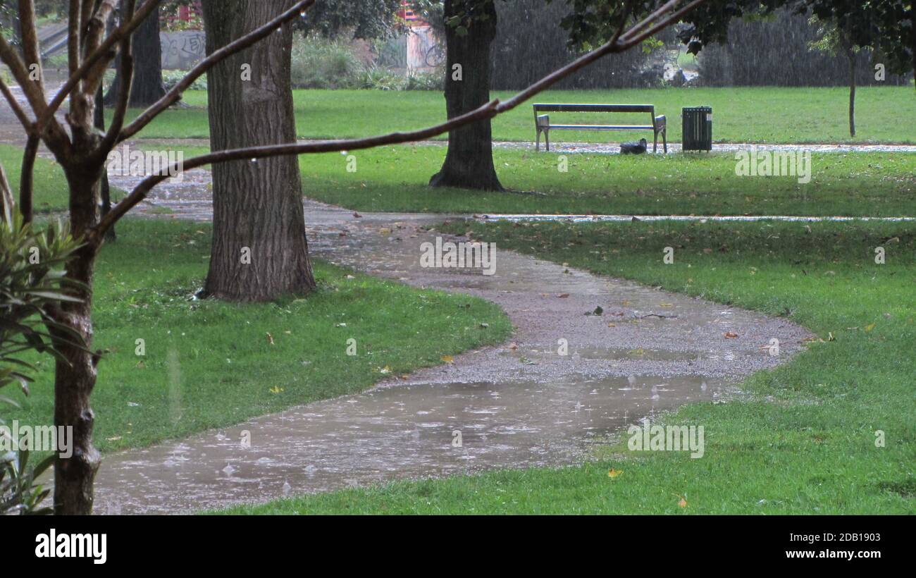 forte pluie et flaques dans le parc, arbres et herbe verte Banque D'Images