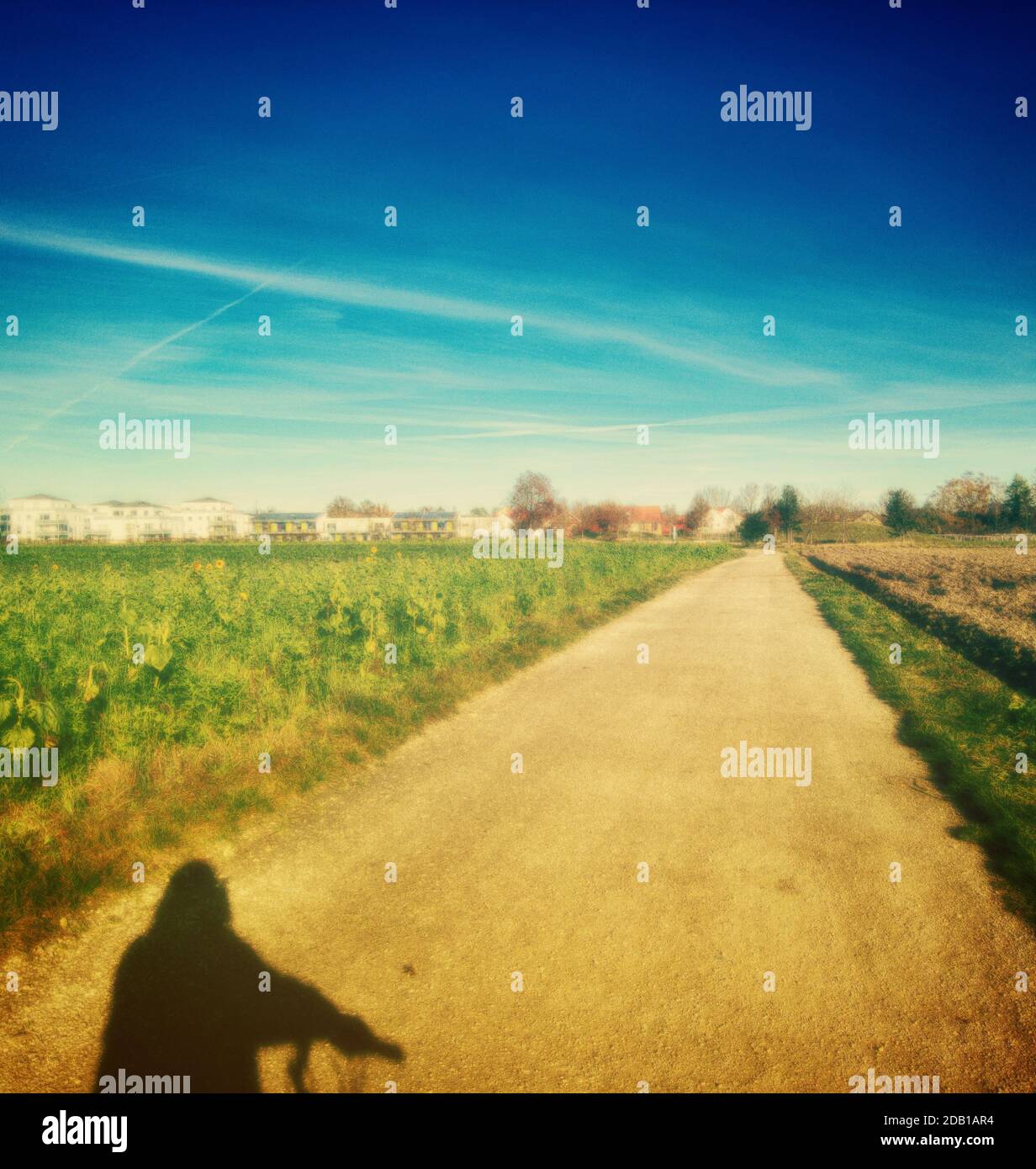 ombre du motard sur la route sale Banque D'Images