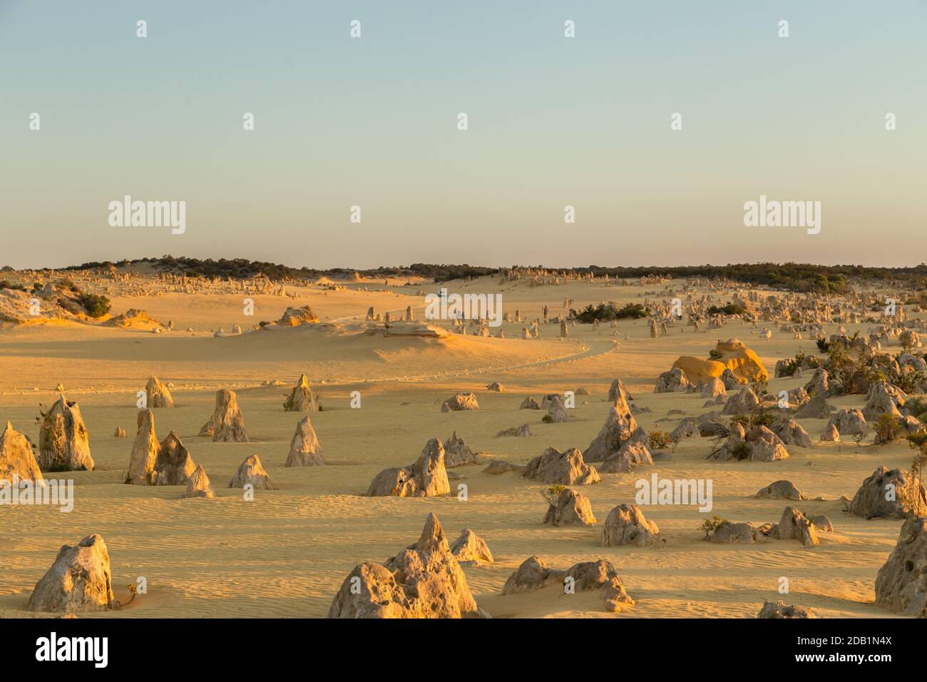 Les Pinnacles, piliers de calcaire dans le parc national de Nambung, près de Cervantes en Australie occidentale, quelques-uns jusqu'à 3.5 mètres de haut dans le sable jaune Banque D'Images