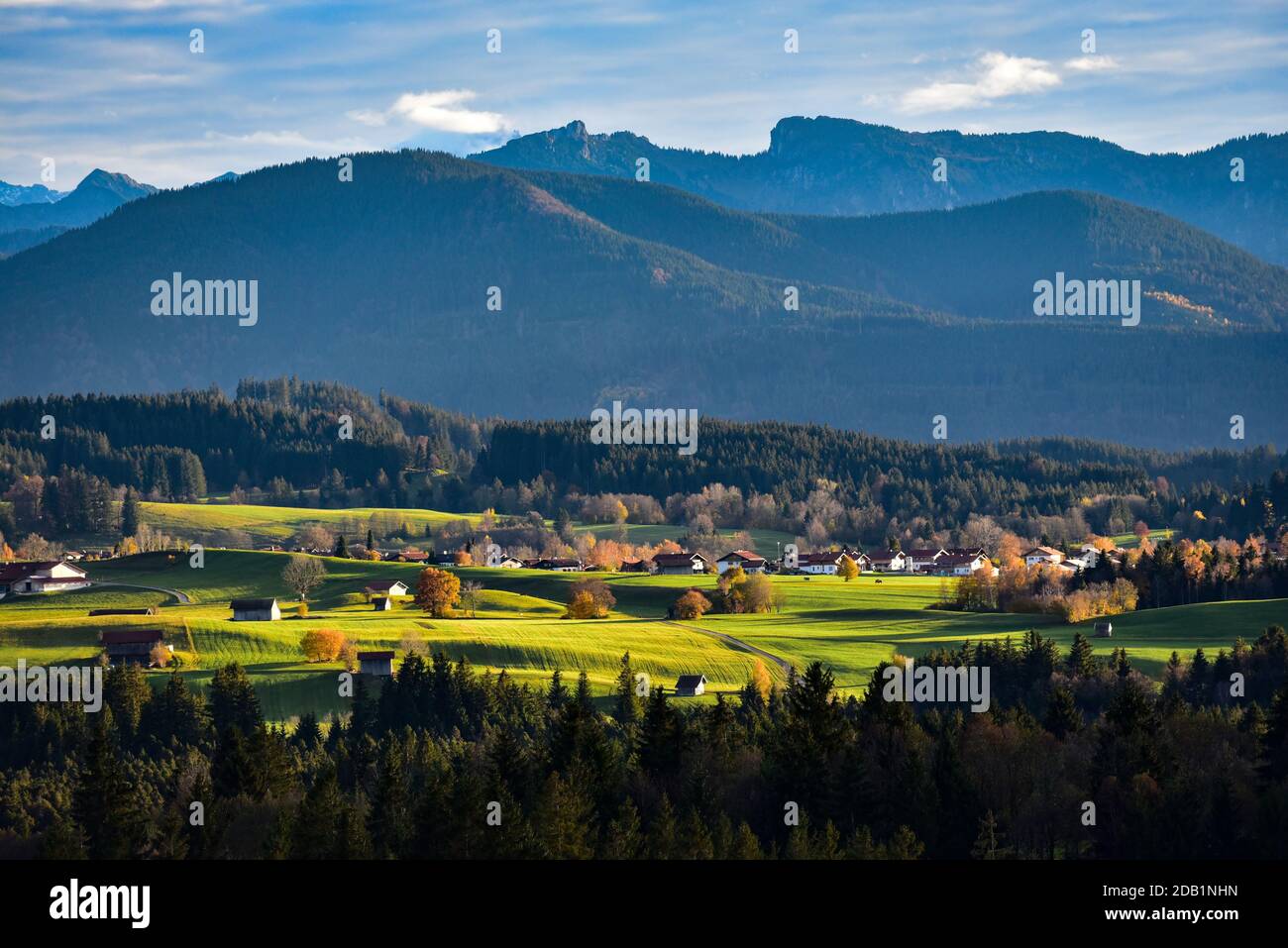Vue de Schönberg vers Pürschling (1566 m) dans les Alpes d'Ammergau, Bavière, Allemagne, Europe Banque D'Images