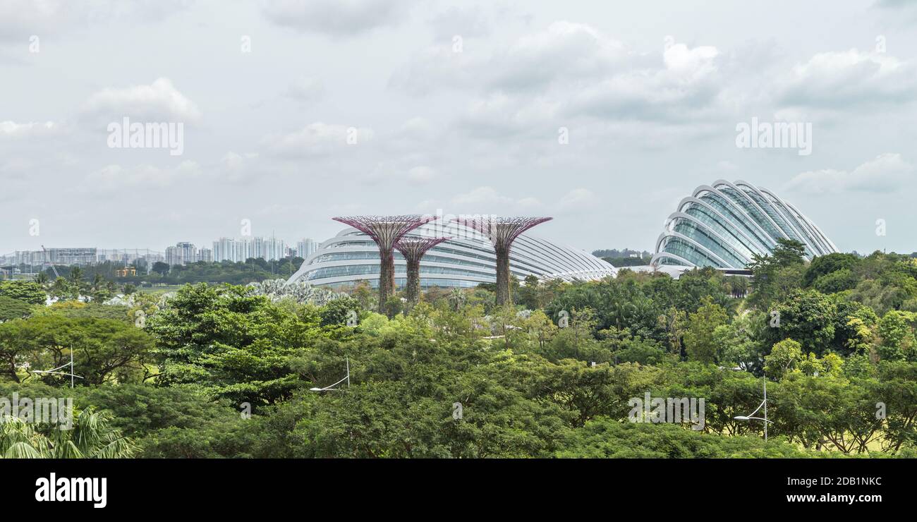 Supertrees, Flower Dome et Cloud Forest at Gardens by the Bay, un parc naturel de Singapour Banque D'Images