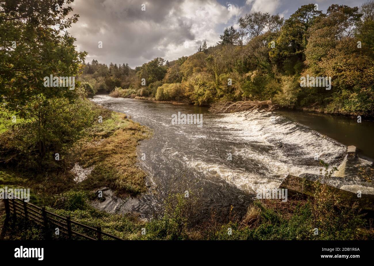 Poutre de barrage sur la rivière Torridge près de Torrington, vue depuis la Tarka Trail, dans le nord du Devon, en Angleterre. Banque D'Images