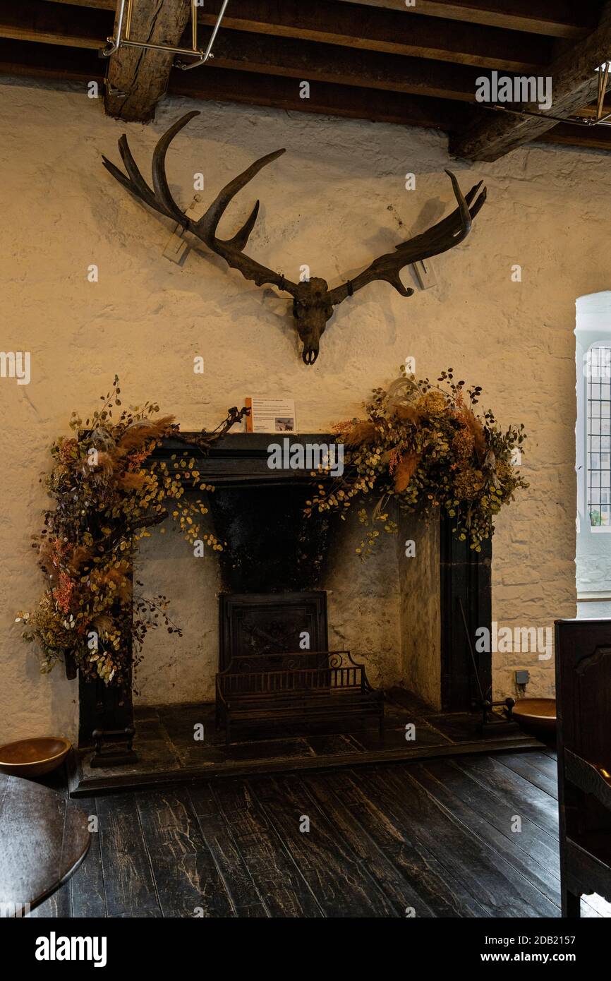Salle de réception principale avec cheminées d'origine, bois de cerf géant et meubles en bois, maison Rothe, Kilkenny, comté de Kilkenny, Irlande Banque D'Images