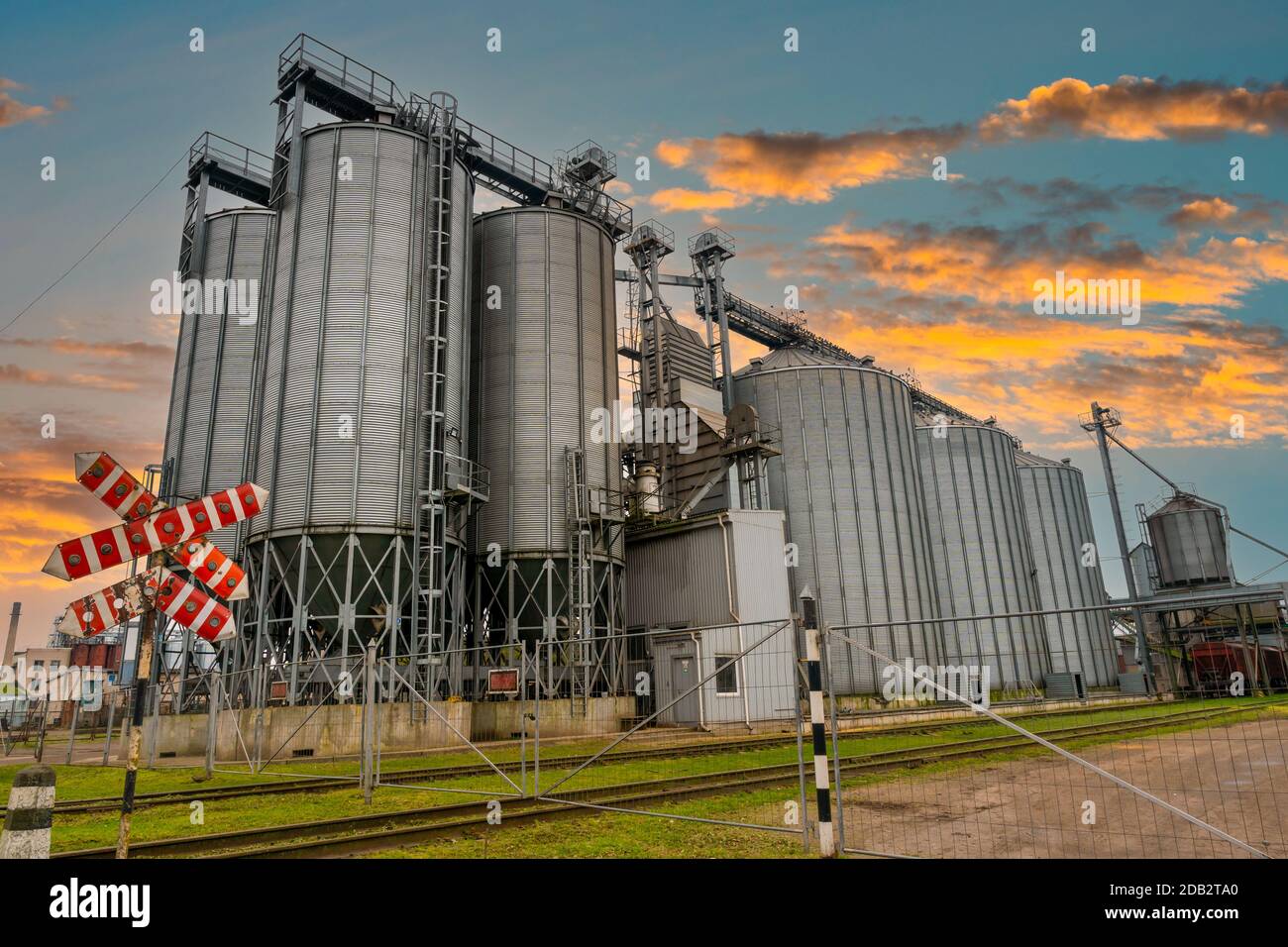 Plante pour la transformation des grains et silos pour le séchage, le  nettoyage et le stockage des produits agricoles, de la farine, des céréales  et des céréales Photo Stock - Alamy