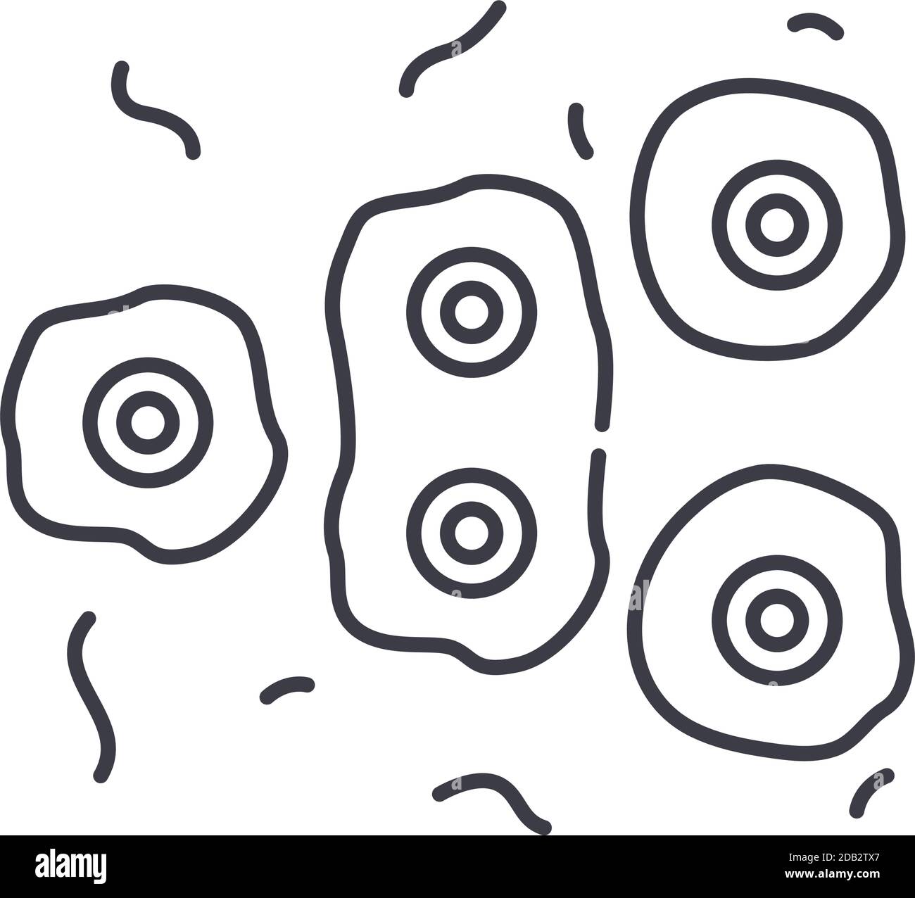 Icône de concept de division cellulaire, illustration isolée linéaire, vecteur de ligne mince, signe de conception Web, symbole de concept de contour avec contour modifiable sur blanc Illustration de Vecteur