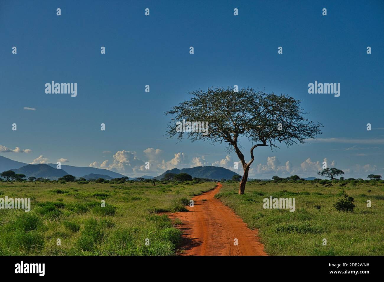 Photos de paysages du Parc National Tsavo East Tsavo West et Amboseli Banque D'Images