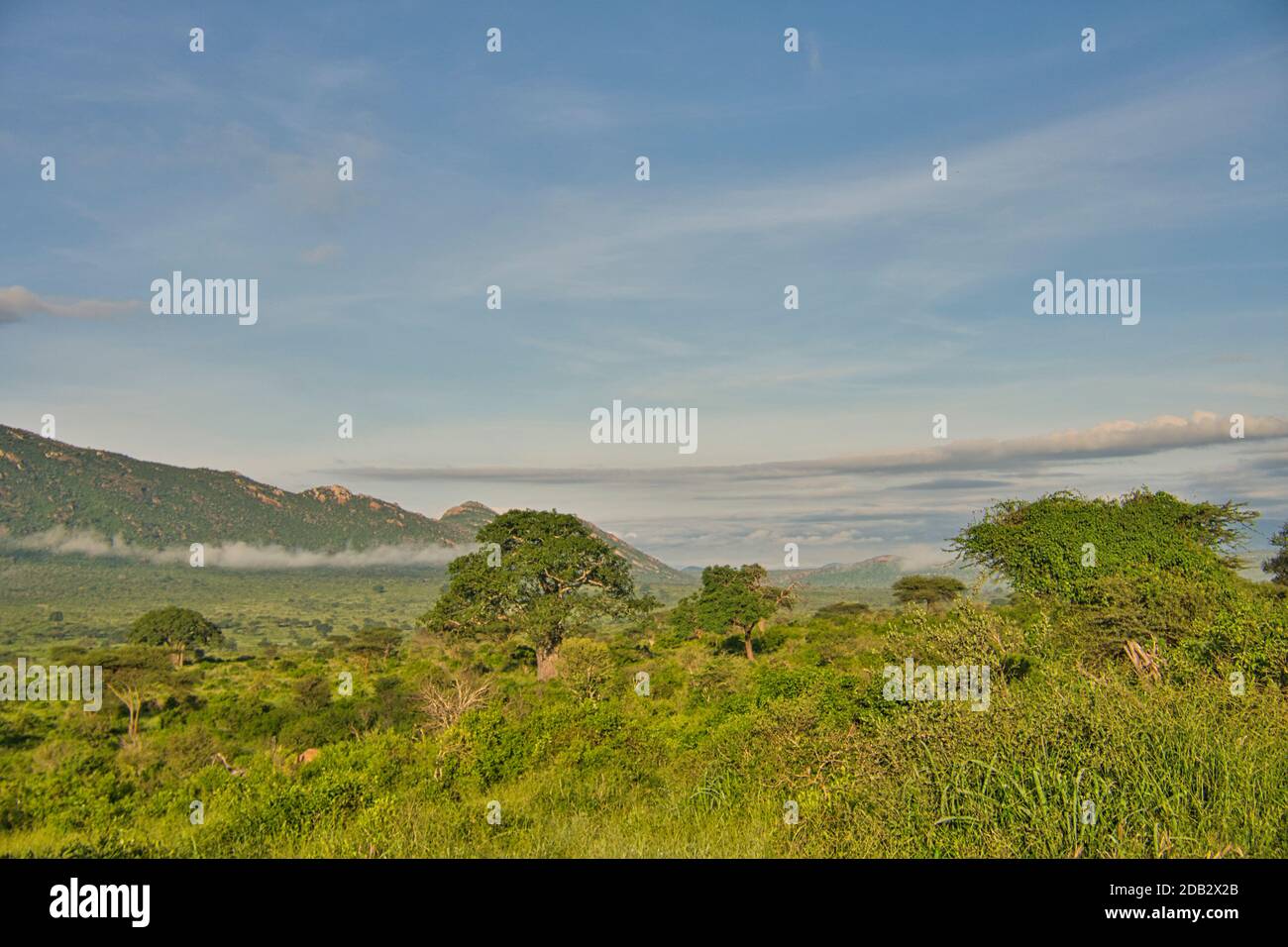 Photos de paysages du Parc National Tsavo East Tsavo West et Amboseli Banque D'Images