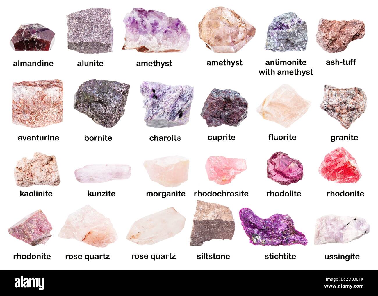 ensemble de divers minéraux roses non polis avec des noms (rhodonite, rhodolite, rhodochromsite, almandine, morganite, bornite, améthyste, cuprite, siltstone, Banque D'Images