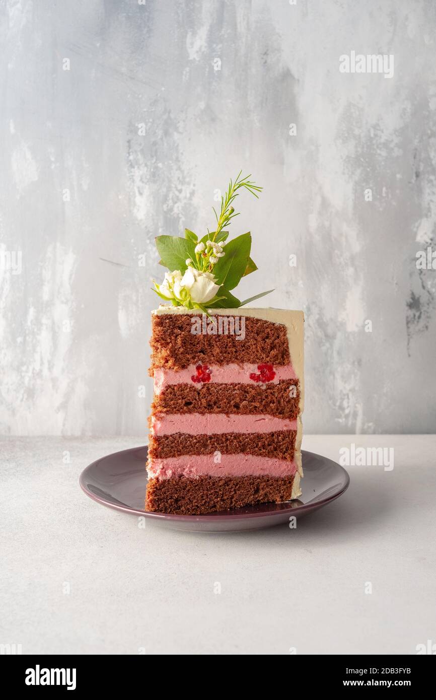 Gâteau de fête au chocolat avec crème Buttercream rose – FOOPPIX Banque D'Images