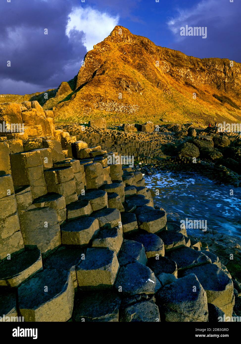 Giants Causeway National Trust Causeway Coast County Antrim Irlande du Nord Site du patrimoine mondial pierres colonnes hexagonales Géologie Basalt vagues de la mer Banque D'Images