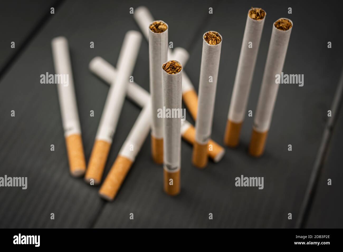 Ensemble de cigarettes de tabac sur fond gris en bois avec accent sur le tabac contenu dans le papier Banque D'Images