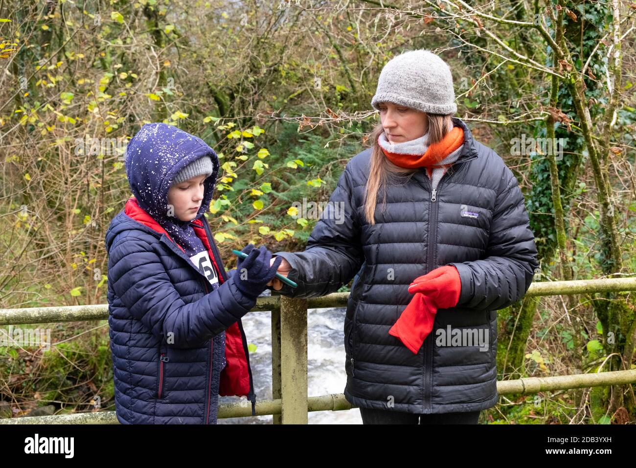Mère lui donnant son téléphone portable iphone pour prendre des photos Tout en marchant dehors à l'extérieur dans la campagne d'automne Carmarthenshire PAYS DE GALLES ROYAUME-UNI KATHY DEWITT Banque D'Images