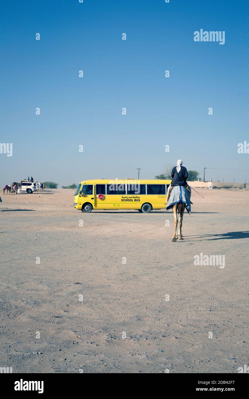 Emirats Arabes Unis / Al Dhaid / Camel Race dans la région centrale de l'émirat de Sharjah aux Emirats Arabes Unis Banque D'Images