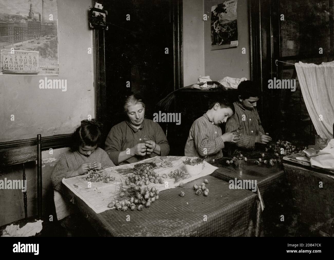 4 H Basso Family, 2 Carmine St., N.Y. Apt 17. Faire des roses dans une cuisine sale et mal éclairée. Ils travaillent certains la nuit. Pauline, 6 ans, travaille après l'école, Peter, 8 œuvres jusqu'en 8 [P. M.] Mike, (contre-oculaire), 12 ans, jusqu'À 10 HEURES] Père garde un magasin de chiffon. . Banque D'Images