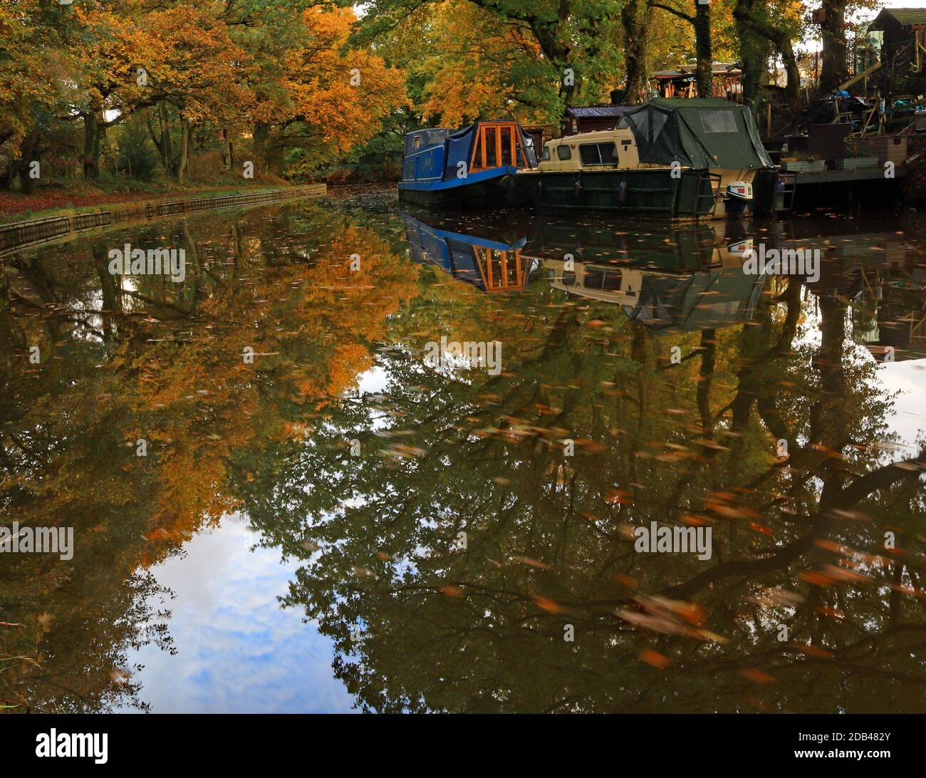 Les feuilles d'automne sont tombées dans les eaux du Leeds et Liverpool canal et flottent lentement le long de passer Les bateaux amarrés près d'Adlington Banque D'Images